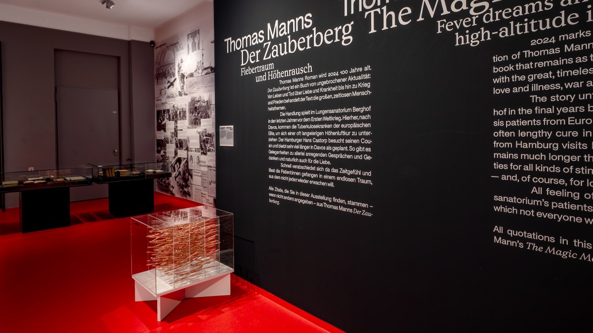 100 Jahre „Der Zauberberg“: Fiebertraum und Höhenrausch Foto: Lübecker Museen